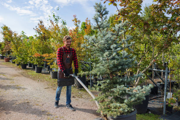 Best Commercial Tree Services  in Lake Telemark, NJ